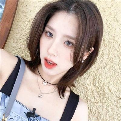 金雉鸡