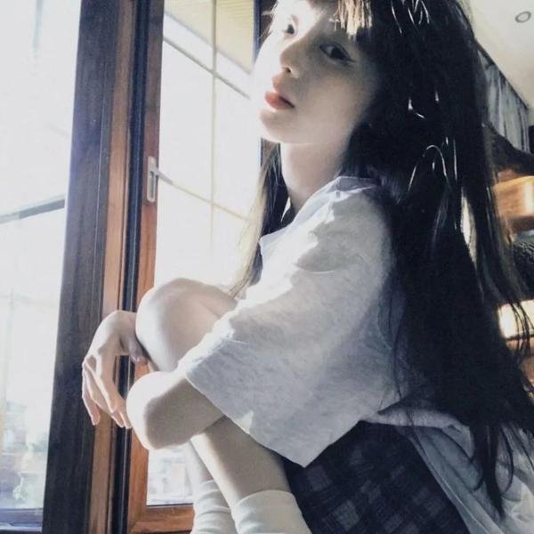 布里斯比熊